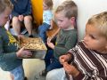 IMG 6852