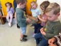 IMG 6853