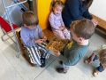 IMG 6856