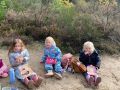 IMG 4151