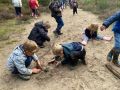 IMG 4162
