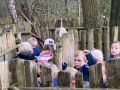 IMG 4168
