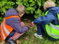 IMG 20261019 132117