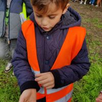 IMG 20261019 134729