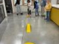 IMG 3627