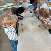 IMG 3675