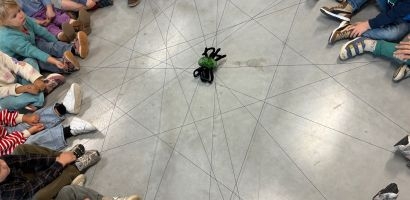 IMG 3774