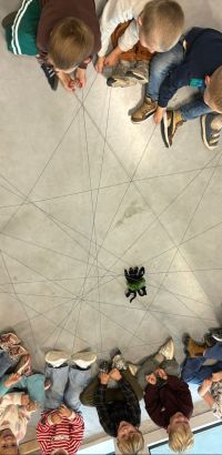 IMG 3777